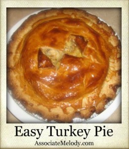 easy turkey pie