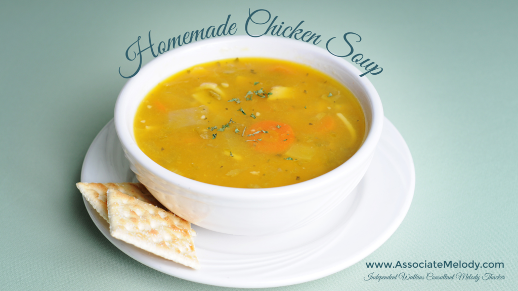 homemade chicken or turkey soup