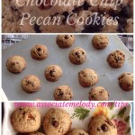 Chocolate Chip Pecan Cookies